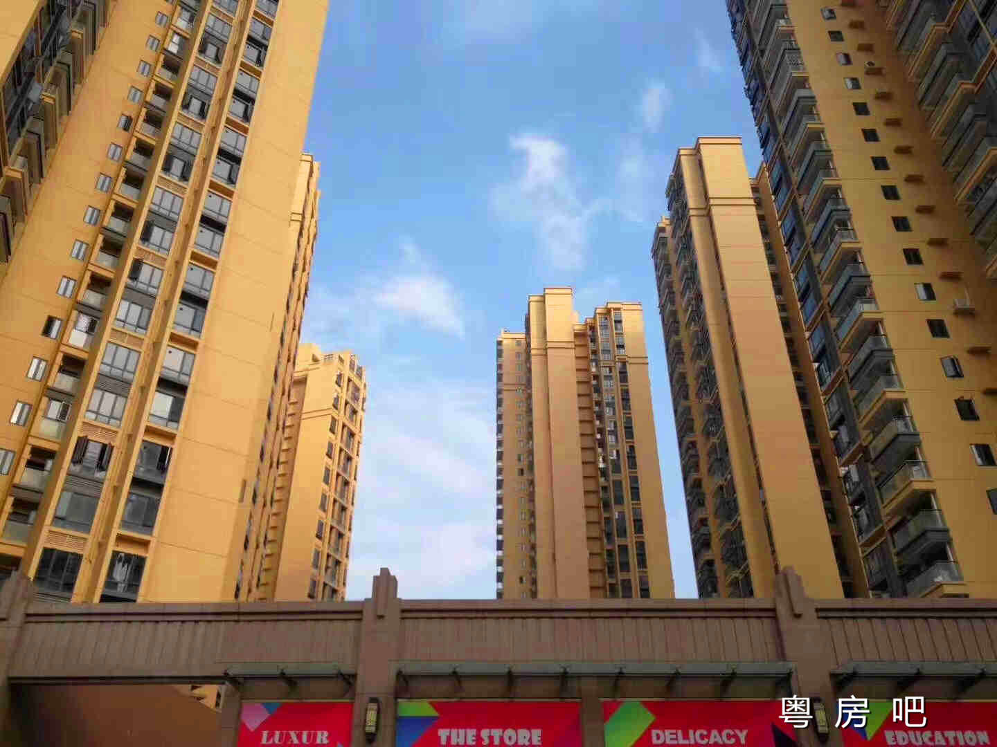 东莞大朗6栋500套大型统建楼「松湖明珠」松山湖花园小区房 使用率90% 均价5880元起