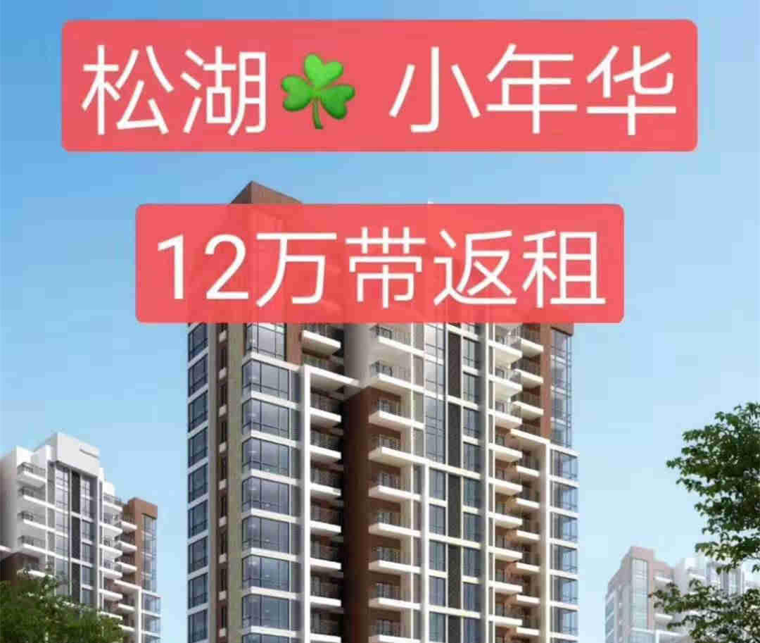 东莞大朗中心区《松湖小年华》地铁口精装公寓12万起 拎包入住 开发商返租