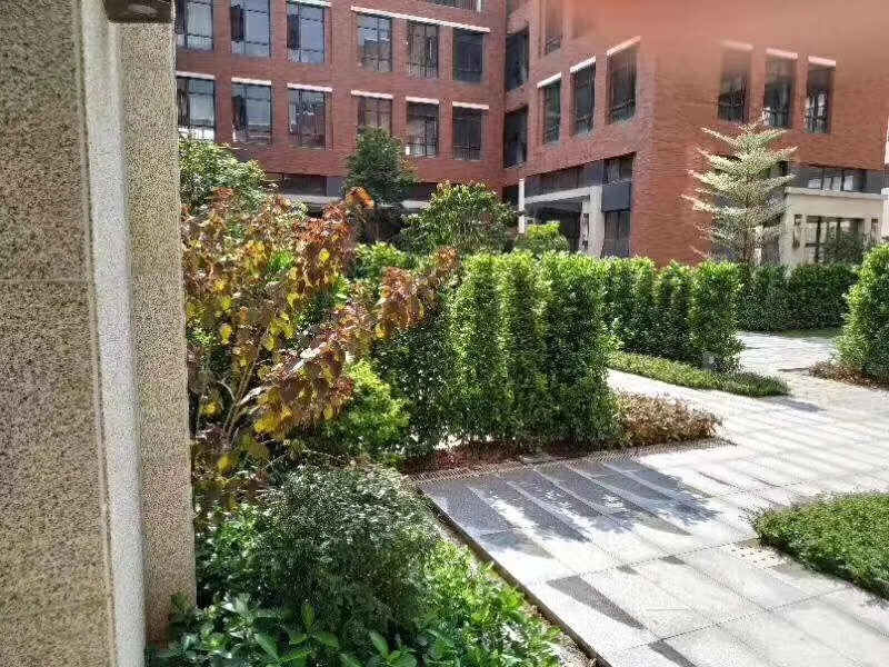 微信图片_201910271801361