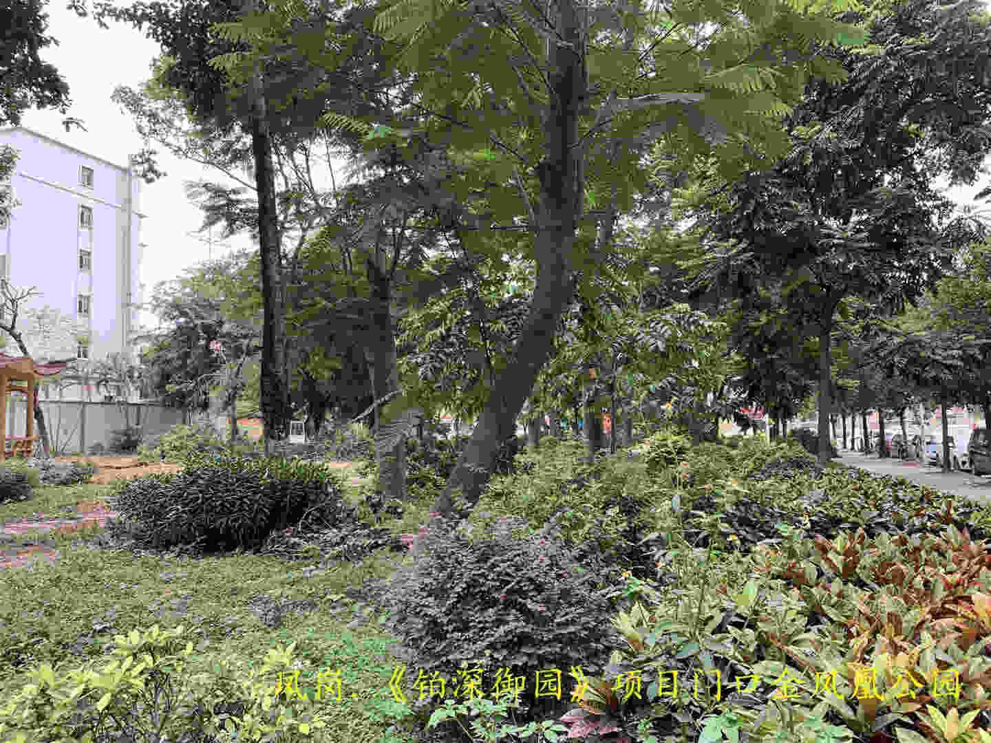 微信图片_20191027145833