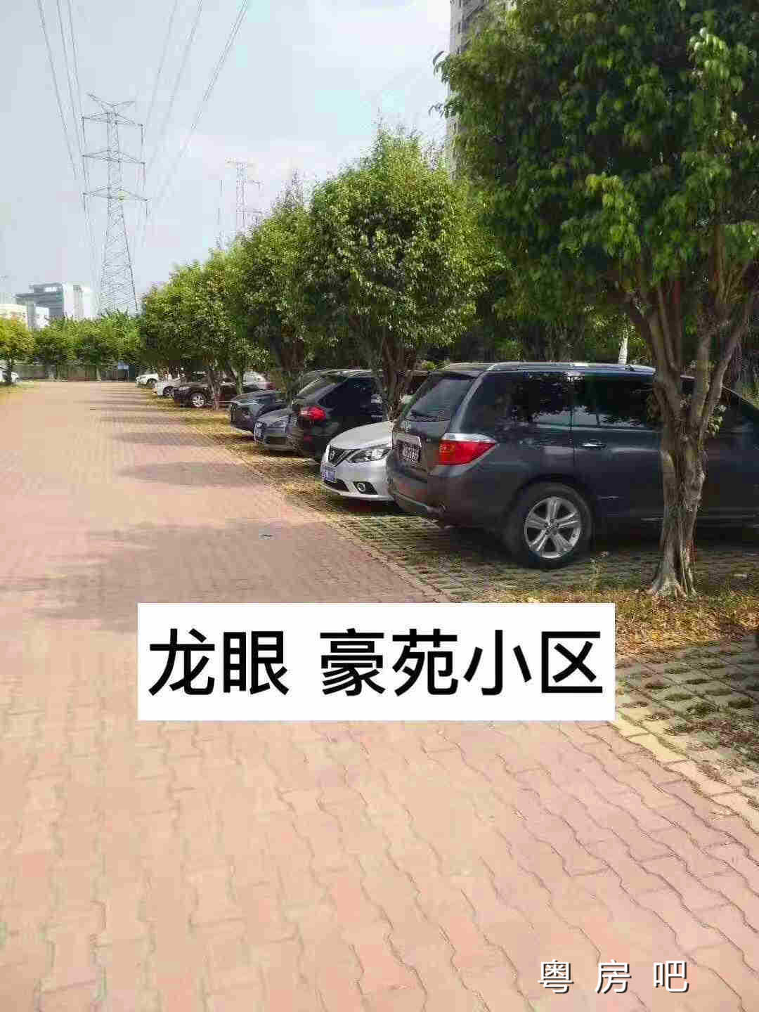 微信图片_201910311216591