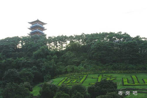 微信图片_20191101104737