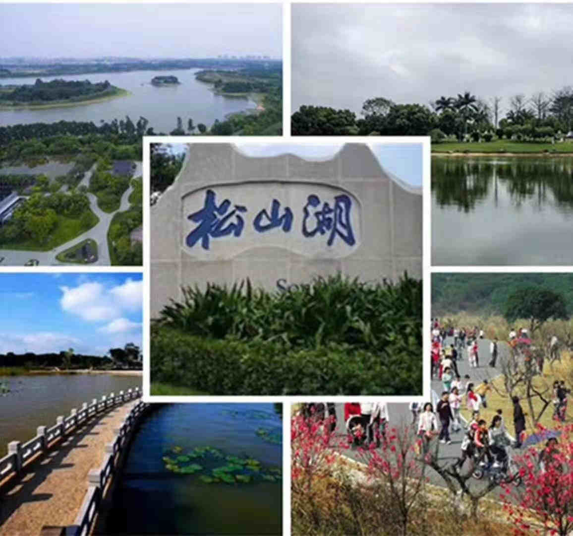 微信图片_201911061048477