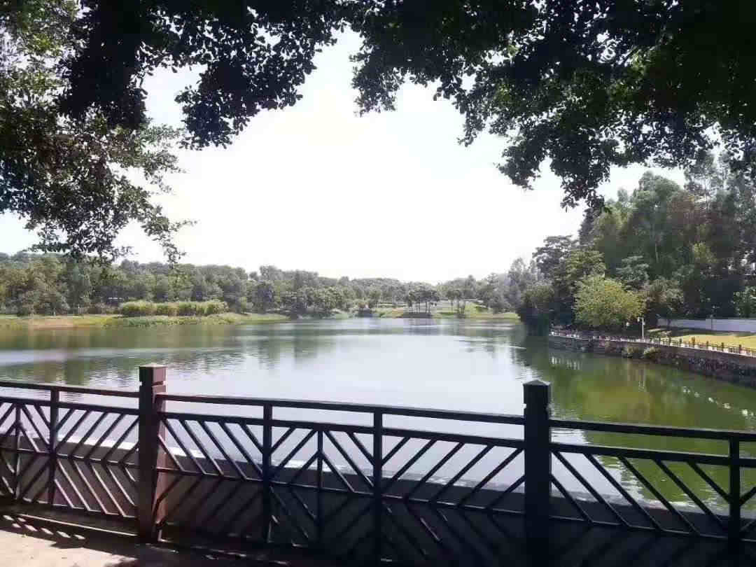 微信图片_201911111133548