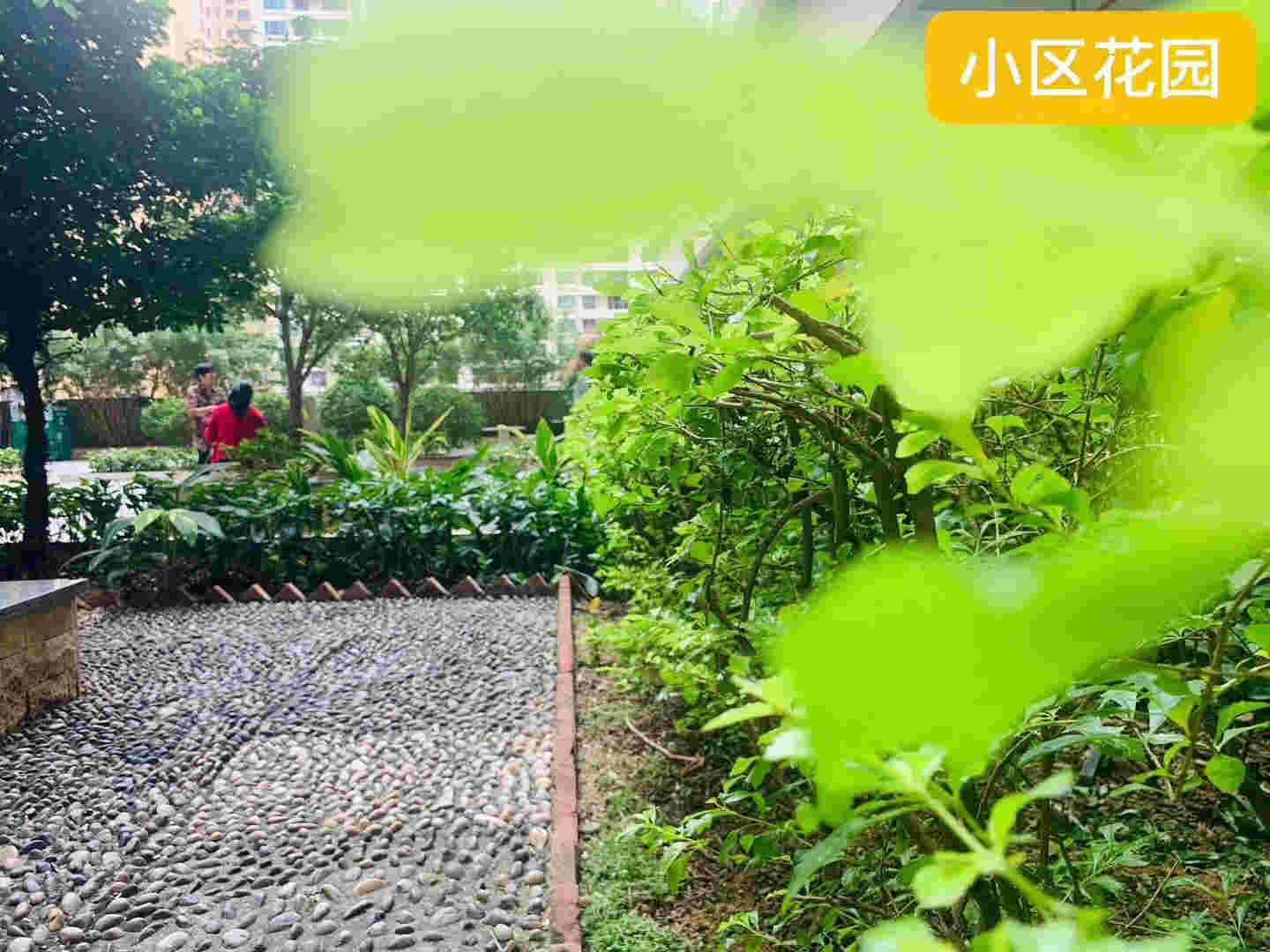 微信图片_201911111304288