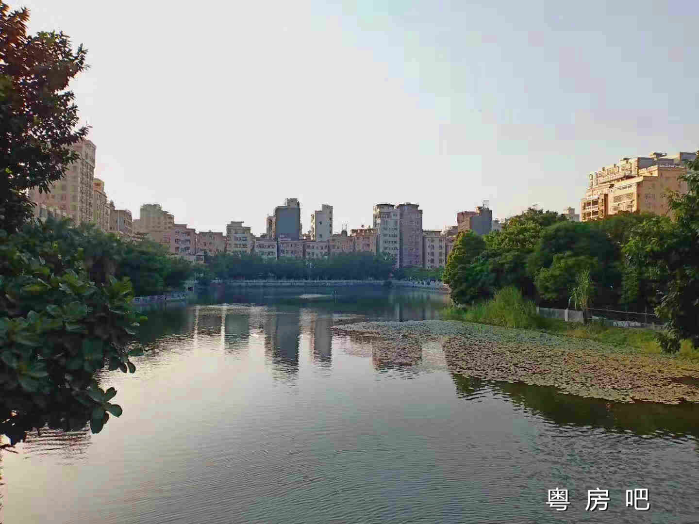 微信图片_20191118122123