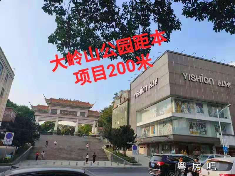 东莞大岭山公园《城市家园》3栋400套小产权房 大岭山东站800米 均价4350元