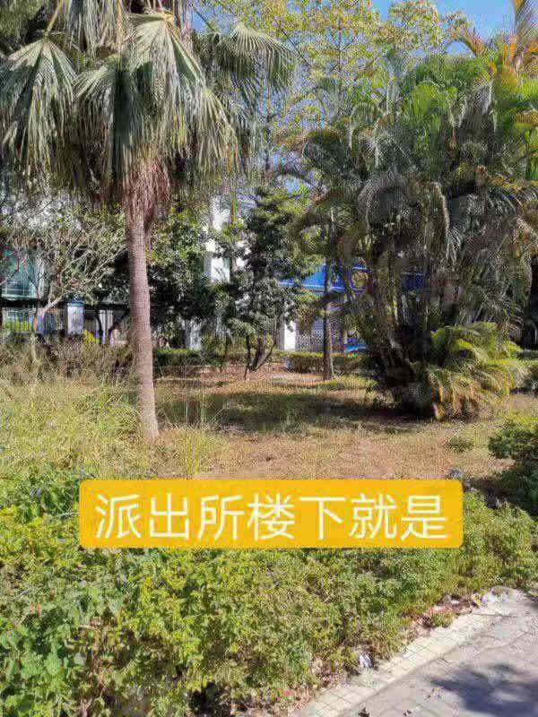 微信图片_201911242158264