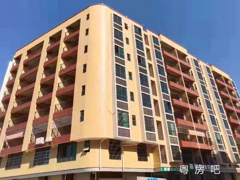 东莞横沥三江《松湖北幸福家园》2栋统建楼出售 首付1.6万买两房 首付2.5万买三房