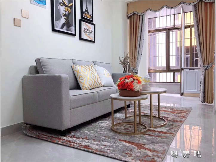 龙岗坂田双地铁口《天虹名苑》小产权房可以落深户 精装两房74.8万起