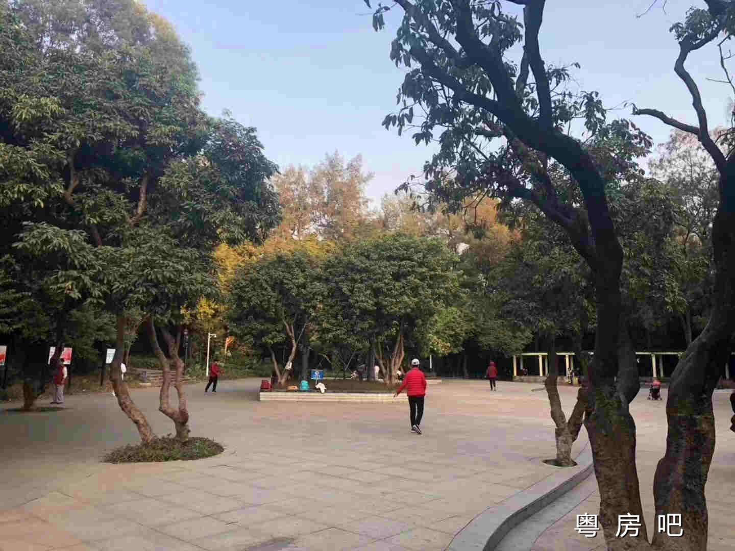 微信图片_20191203104251