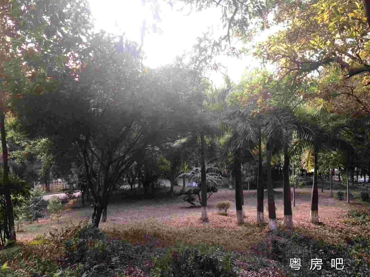 微信图片_201912031042512