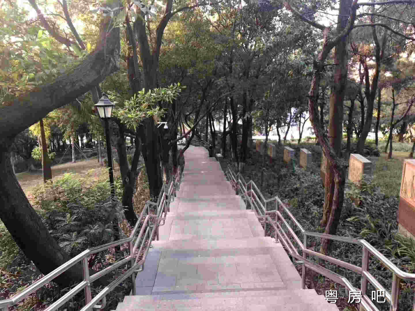 微信图片_201912031042513