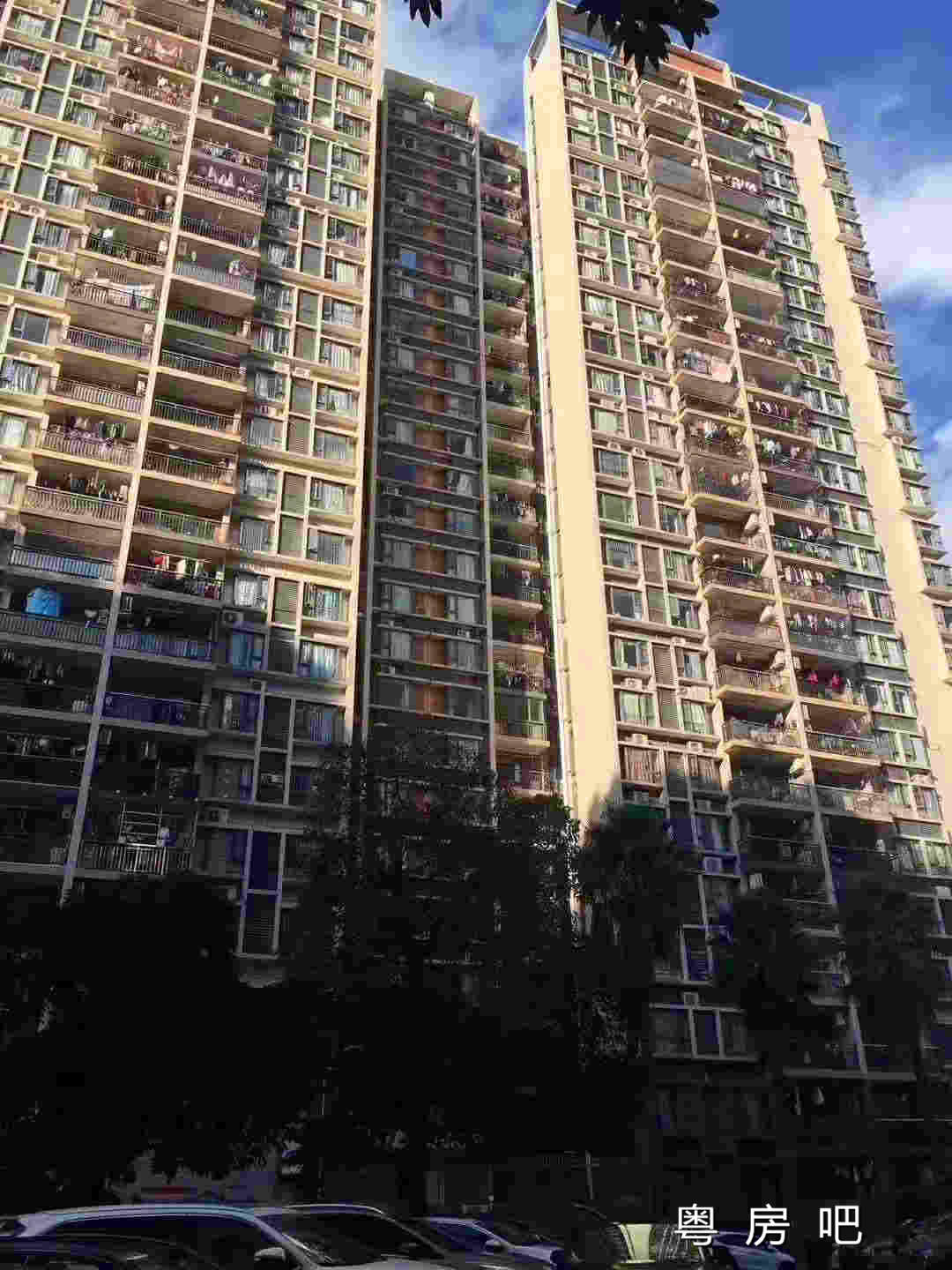 微信图片_20191211104140