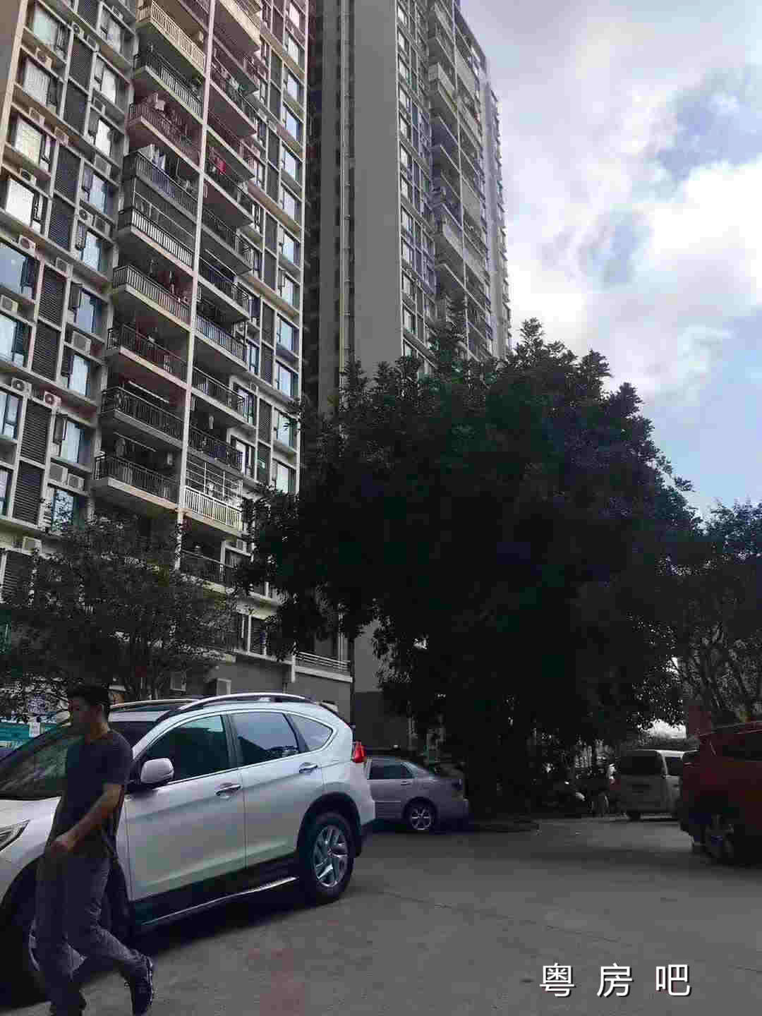 微信图片_20191211104149