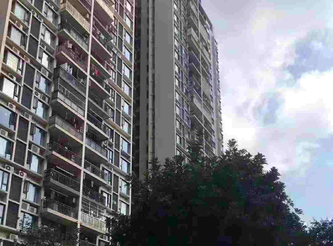 布吉大型村委统建楼《荔景山色》原始精装户型 村委盖章 罗湖零距离 总价51.2万起 