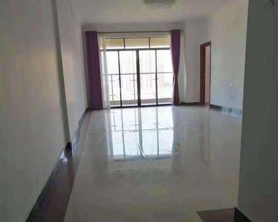 东莞大岭山大塘朗《岭南智谷》小产权房 路边第一排 均价3300元 电梯房