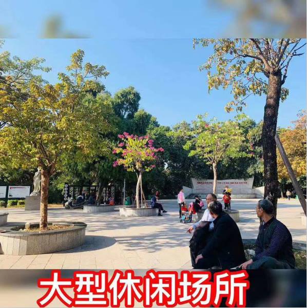 6f45ce46bfc55ba6a2e9518fa1bafa1