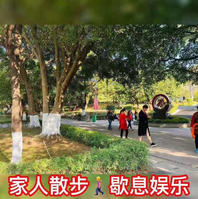 f8318c5e0d326d6c724a643ca2698f6