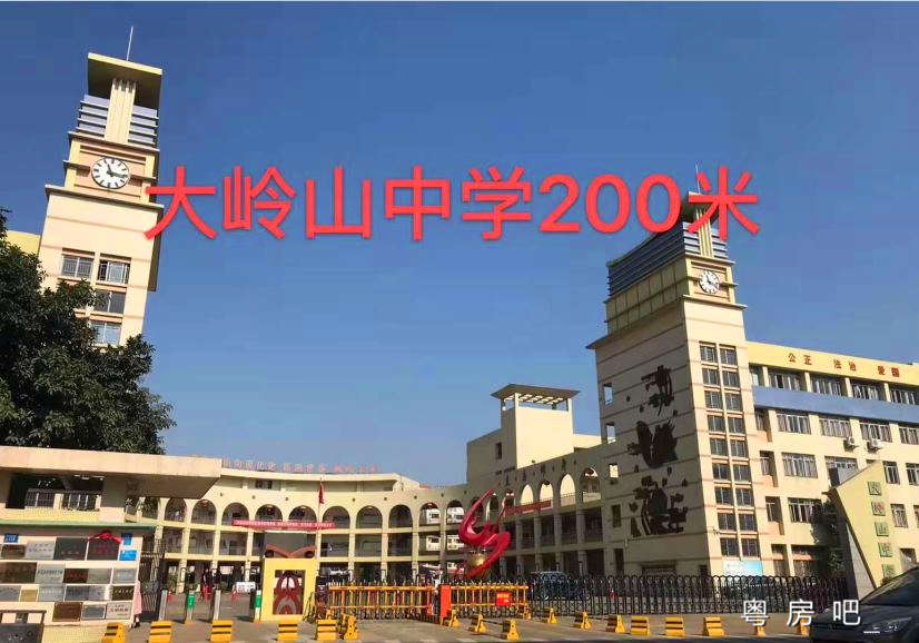 大岭山R1号地铁口300米《金鸿嘉园》两栋统建楼出售 周边商品房配套 均价3780元起