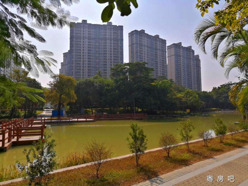 大岭山太公岭《领域华府》体育公园旁 地铁口100米，惊爆价3600元起