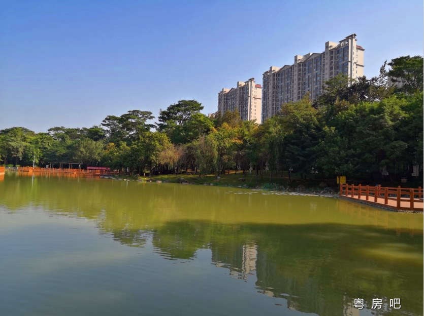 微信图片_201912291926241