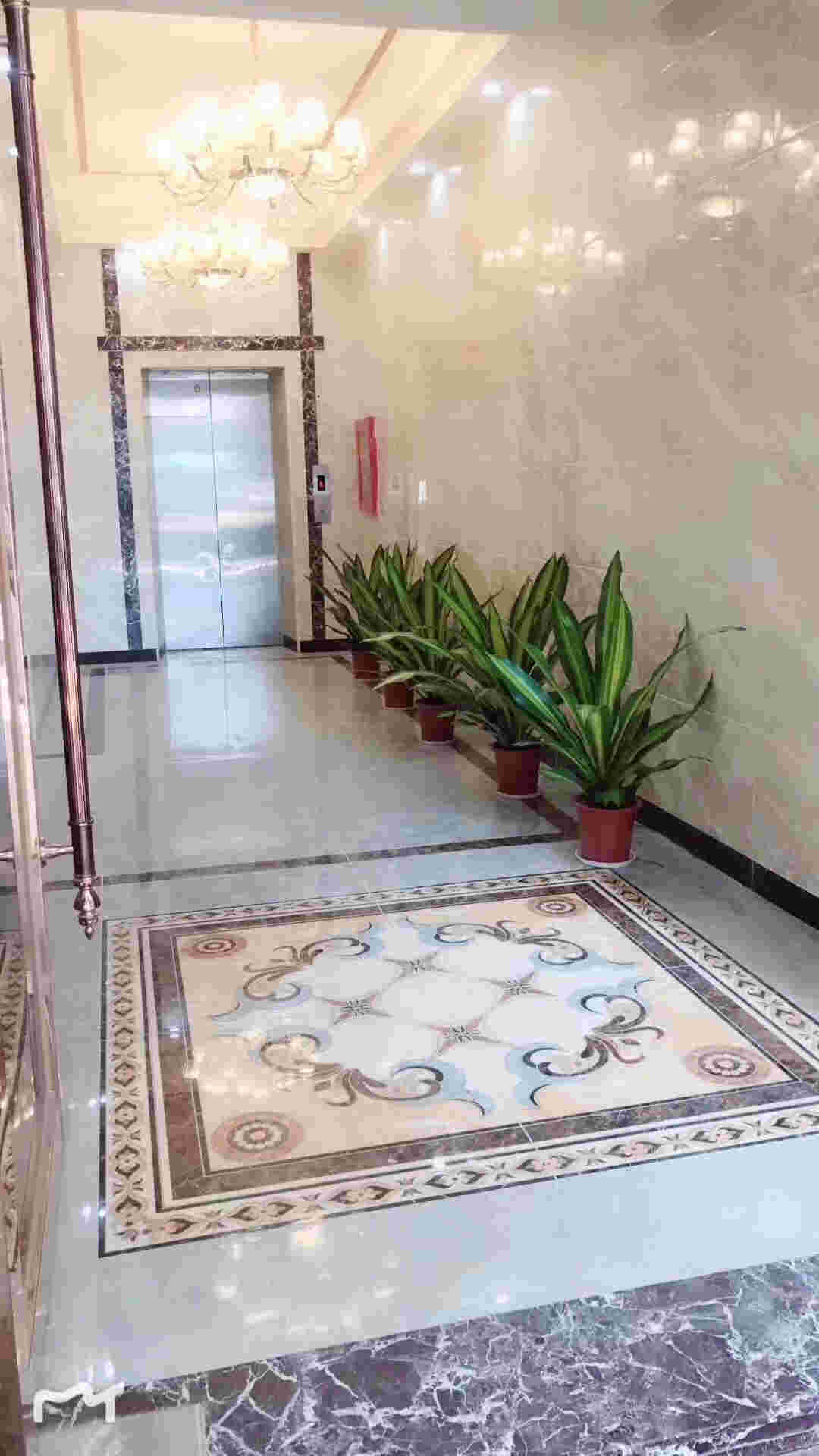 微信图片_202002281133008