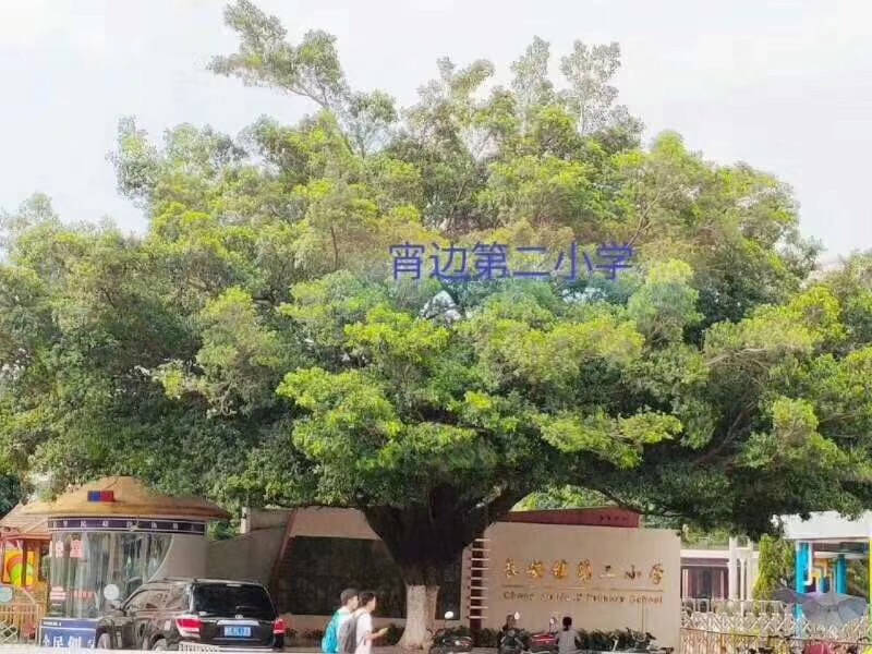 微信图片_202002281303317