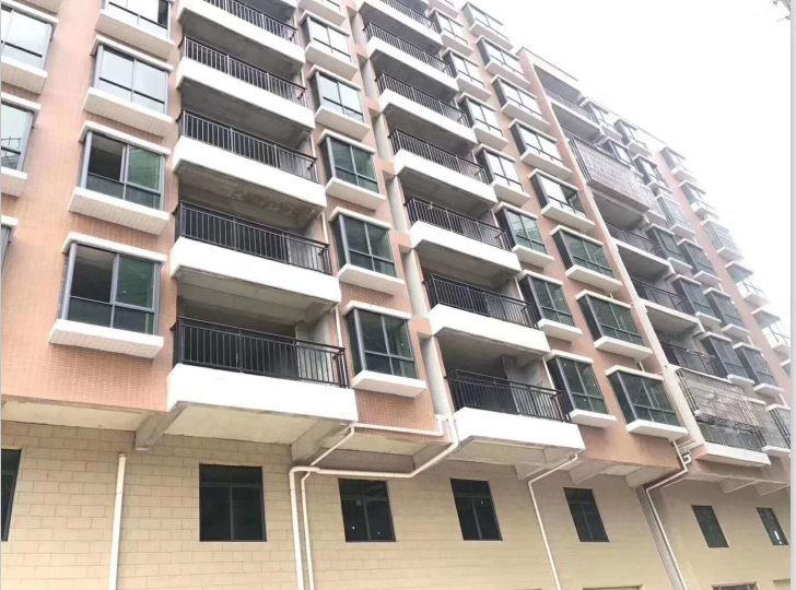 大岭山第二小学旁《颂景花园》AB两栋统建楼 总价31.8万起 分期1年