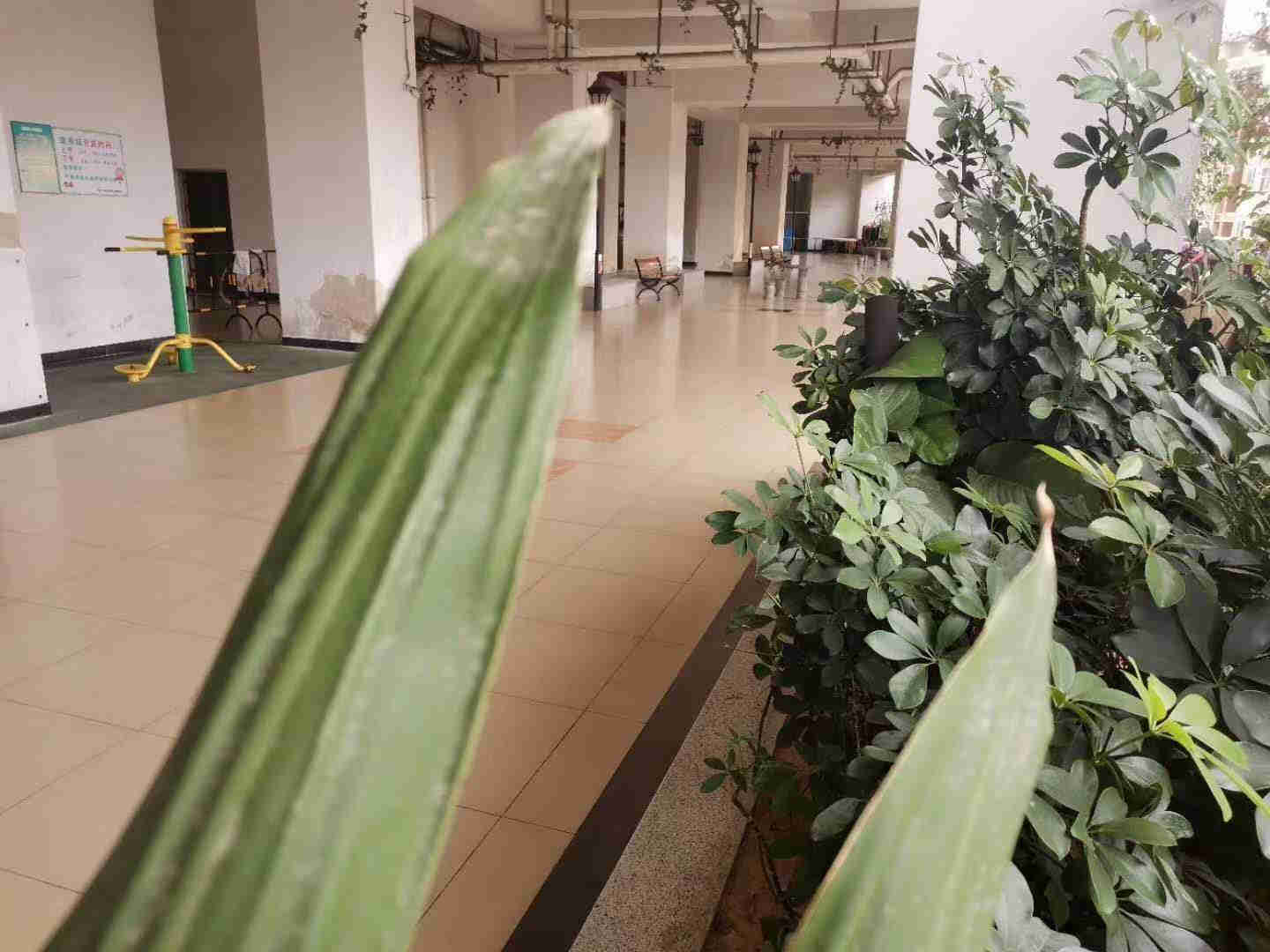 微信图片_202004021716323