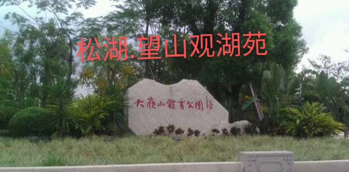 微信图片_202004041256365