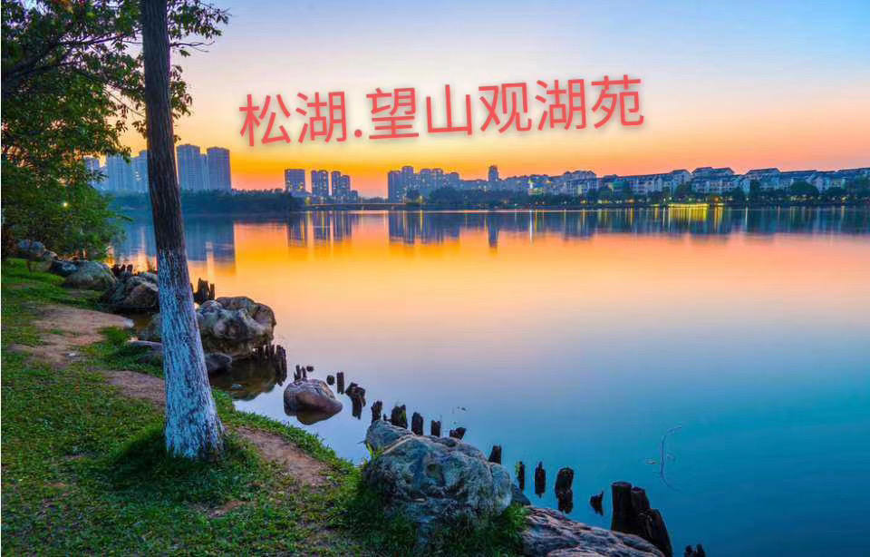 微信图片_202004041256368