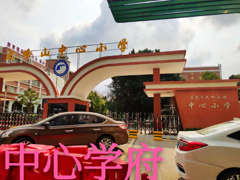 大岭山地铁口《中心学府》小产权房楼盘出售 均价3880元，分期5年