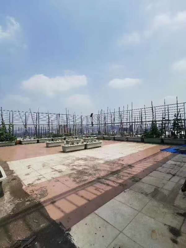 微信图片_20200415160637