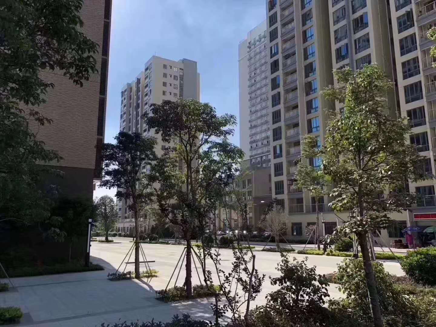 宝安松岗大型统建楼《国际一品》小区自带两层停车场 均价12800元