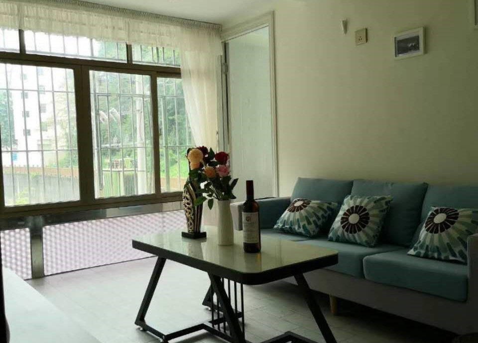 大浪三联河背小区《三联大厦》精装小产权房 三房59.8万起