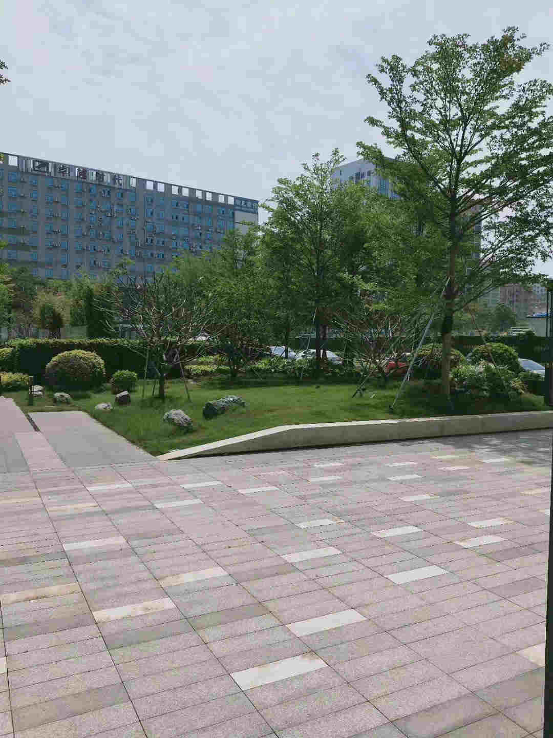 微信图片_202004271231392