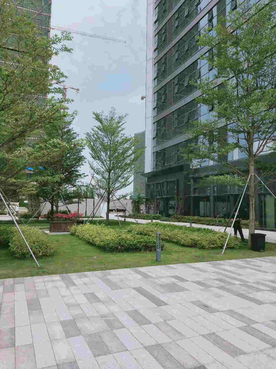 微信图片_202004271231393