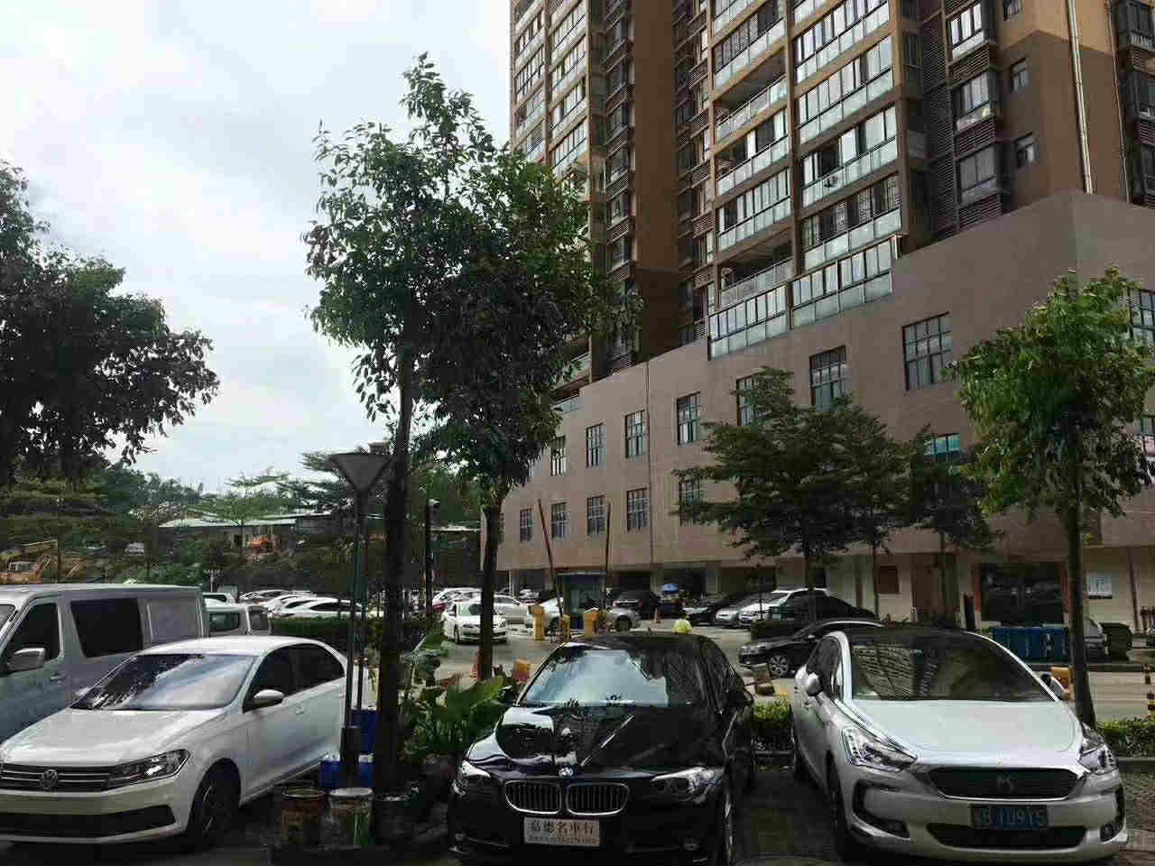 民治梅林关口民乐军产房《梅龙阁》统建楼花园社区 单价30000元