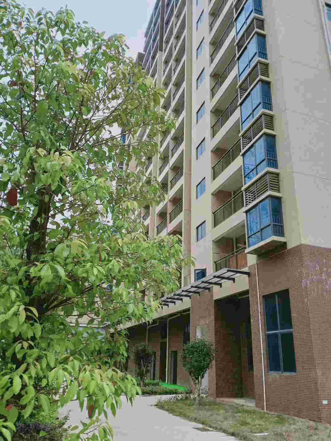 微信图片_202005032323292