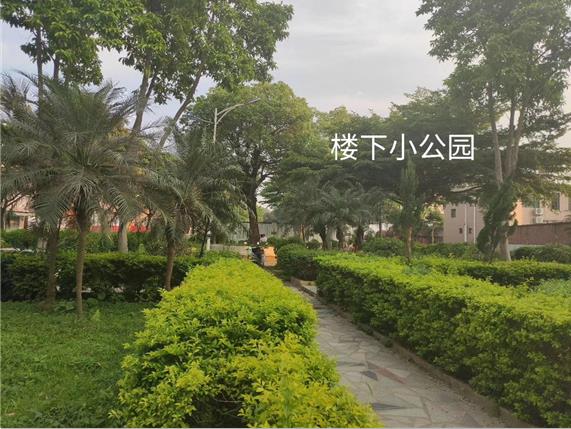 企石东山小学旁《东山小筑》小产权房出售9.8万每套起 楼层任选！