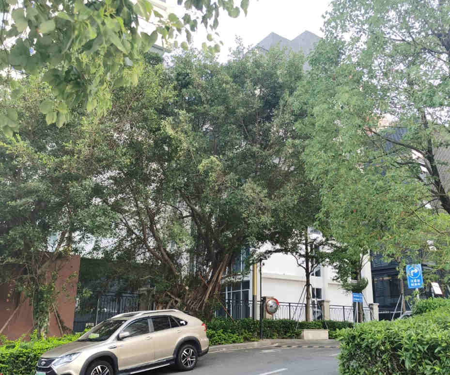 微信图片_20200518132232