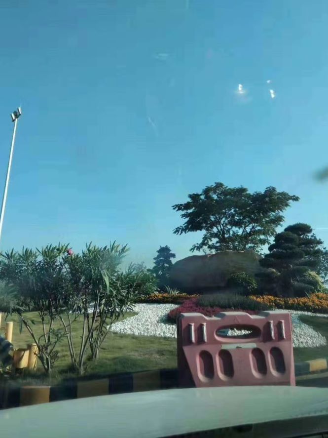 微信图片_202005202147311