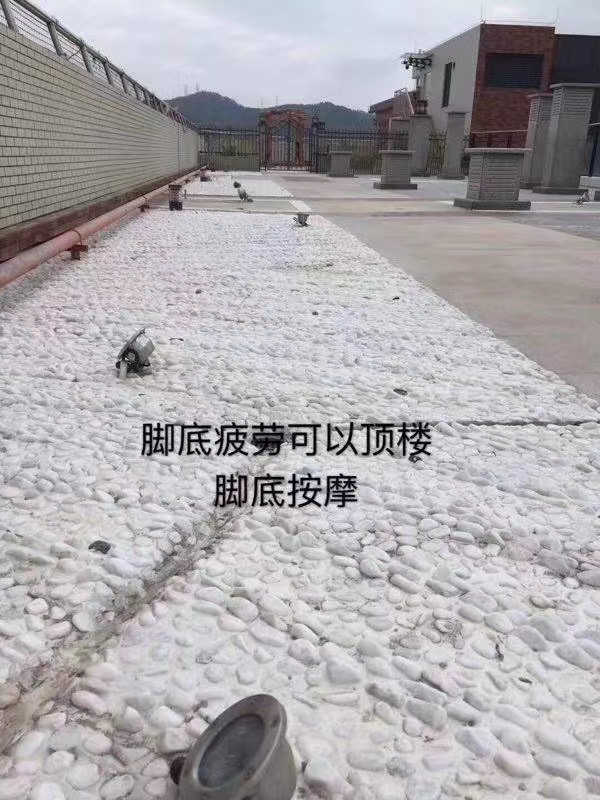 84a78772a133ca123c13c213a8e8e38