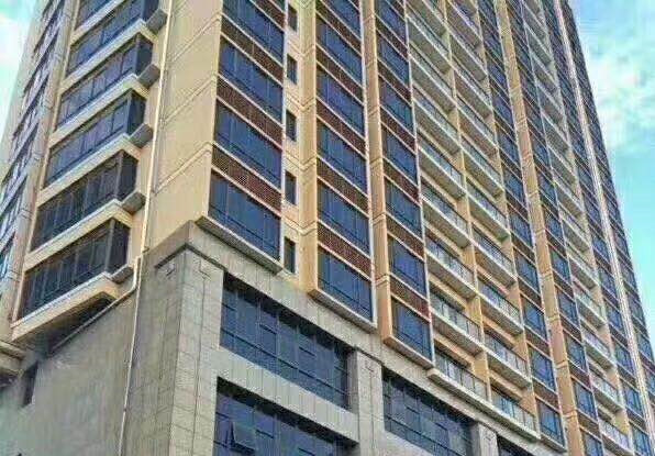 东莞凤岗《公园大地》大型统建楼出售 天燃气入户 自带地下停车场 可分期 