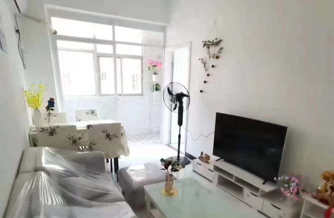 深圳坂田中心位置小产权房《坂田二号》南北通透 原始户型