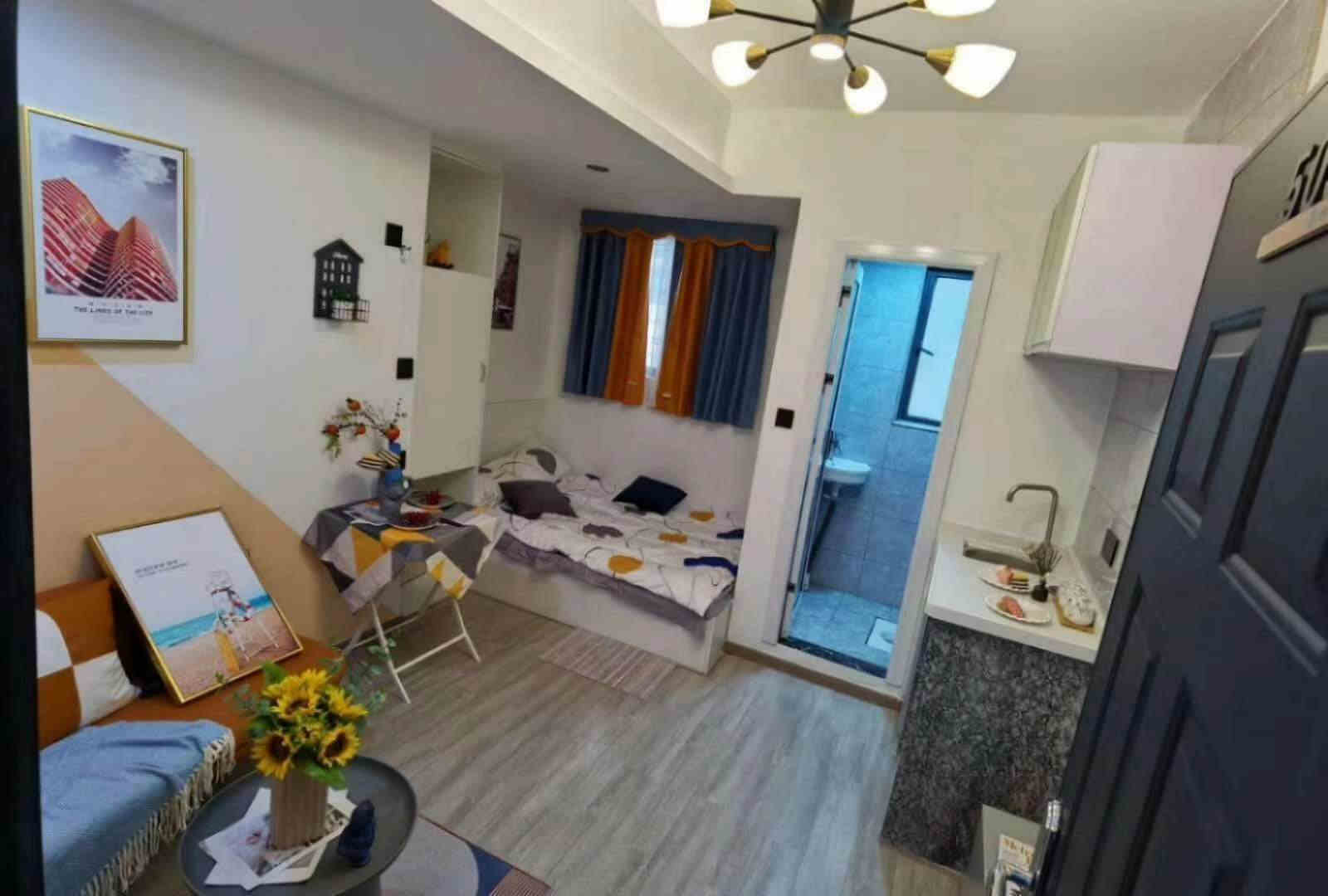 公明马山头地铁口《青柠时代 》精装小产权房 两房34.8万起