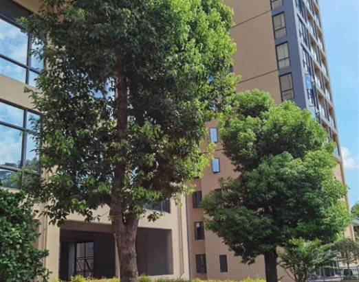 东莞凤岗5栋大型村委统建楼《壹号公馆》商品房品质 自带地下停车场 可分期5年