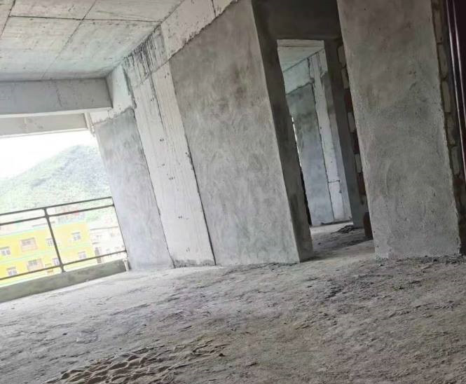 东莞樟木头2栋大型小产权房《城市中央》均3500元 带燃气