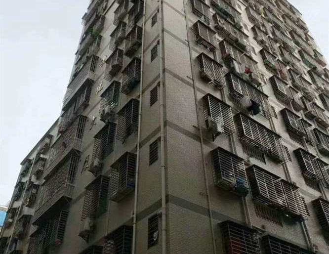 大浪三合华侨新村《华悦大厦》小产权房 6号线地铁口400米 精装两房66.8万起